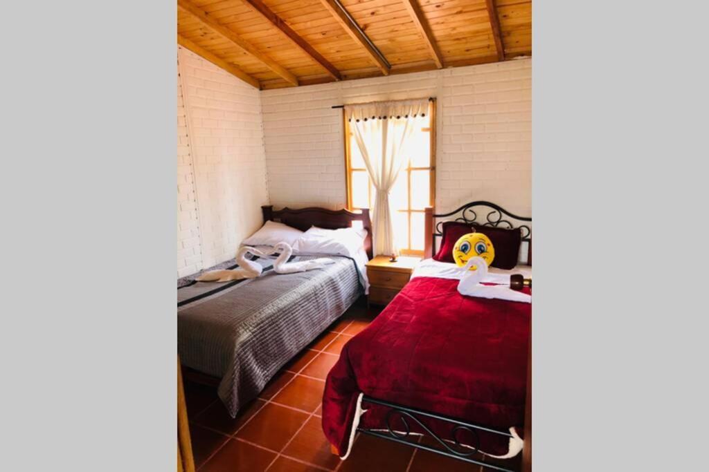 Cabana Buenavista Es Un Lugar Para Descansar. Iza Buitenkant foto