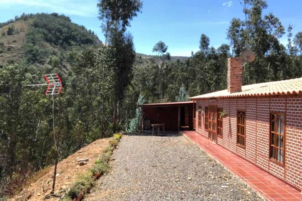 Cabana Buenavista Es Un Lugar Para Descansar. Iza Buitenkant foto