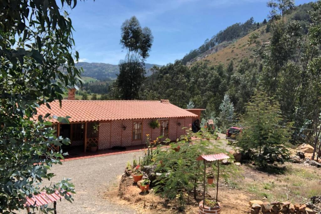 Cabana Buenavista Es Un Lugar Para Descansar. Iza Buitenkant foto